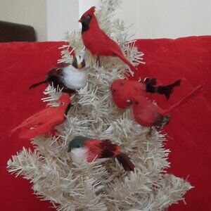 12 Vintage Feathered Red Bird Christmas Tree Decorations